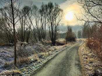 Empty road along bare trees