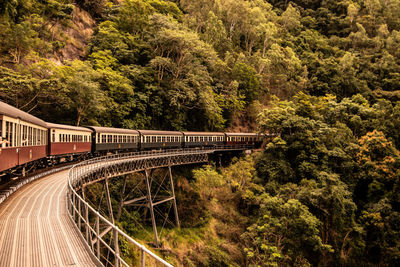 Train on bridge in forest