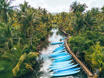 Scenic view of river amidst trees against sky