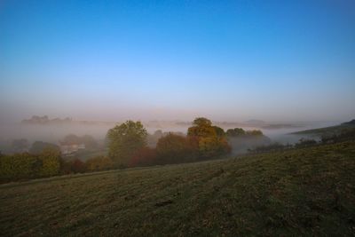 Scenic view of field against clear sky