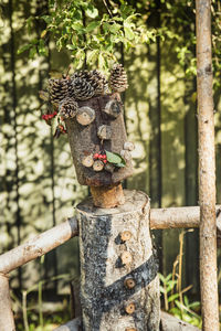 Close-up of wooden post on tree trunk in forest