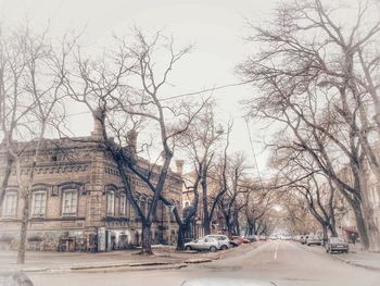 Road by bare trees in city