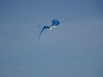 Low angle view of bird flying against clear blue sky