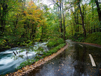 Road amidst trees in forest during autumn