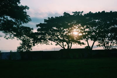 Silhouette trees on field against sky at sunset