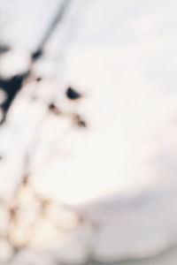 Close-up of sky