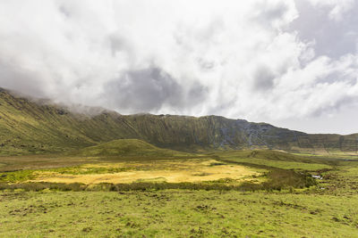 Scenic view of field against sky