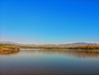 Scenic view of lake against clear blue sky