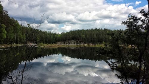 Scenic view of lake by trees against sky