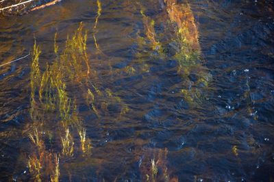 Full frame shot of water