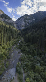 Scenic view of pine trees and mountains against sky