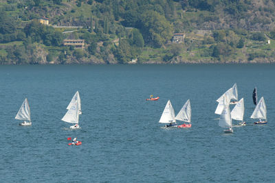 Sailboats on lake como in pianello del lario, como, lombardy, italy.