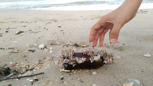 Midsection of person holding sand on beach