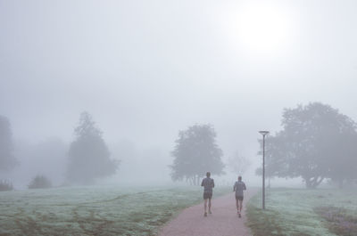 Rear view of friends jogging in park during foggy weather
