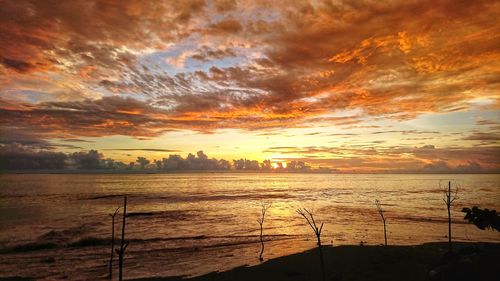 Scenic view of beach against sky during sunset