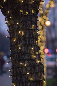 Close-up of illuminated christmas tree at night