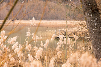 Scenic view of lake