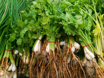 Close-up of fresh vegetables