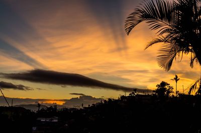 Silhouette trees and buildings against sky during sunset