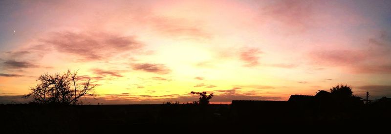 Silhouette trees against sky during sunset