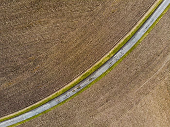 High angle view of corn field on road