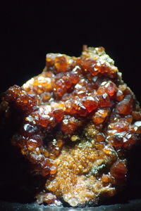 Close-up of meat against black background