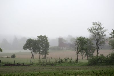 Scenic view of landscape in foggy weather