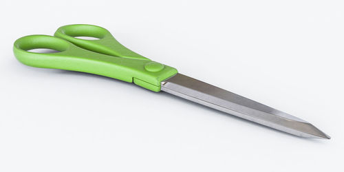 High angle view of green leaf against white background