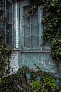 Window of old building