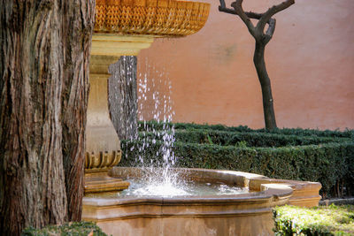 Fountain against trees
