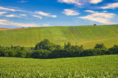 Beautiful rural scenery in biei, hill town