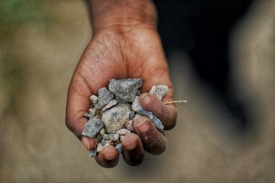 Close-up of hand holding rocks