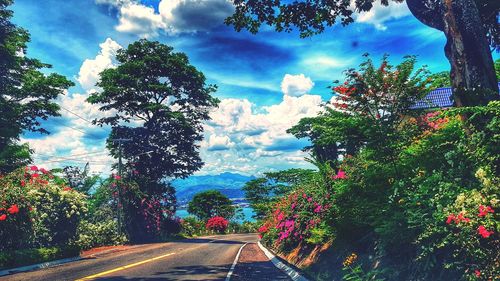 Road amidst trees against sky