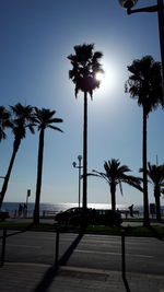 Silhouette palm trees at beach against sky