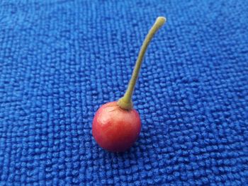 Close-up of fruit against blue background