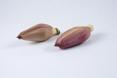 Close-up of bread against white background