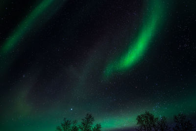 Low angle view of star field against sky at night