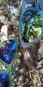 High angle view of trees seen through glass