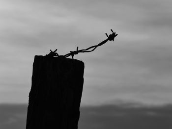 Low angle view of bird perching on wooden post