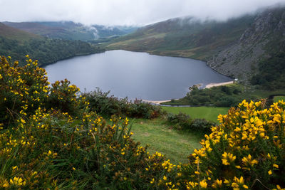 Lough tay, wicklow county, ireland - lough tay lake is also known as the guiness lake.