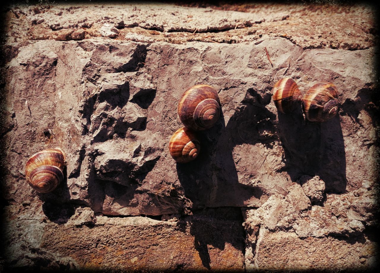 CLOSE-UP OF STONE WALL