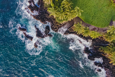 Aerial drone view of rocky coast with palms, maui island, hawaii