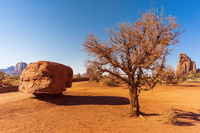 Scenic view of desert against sky