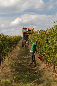 Farmer working on field against sky