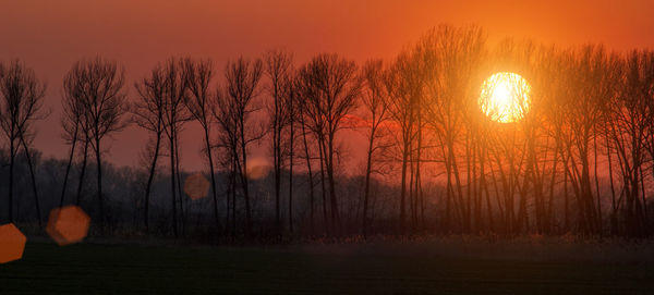 Scenic view of sunset