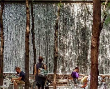 Rear view of people standing against trees