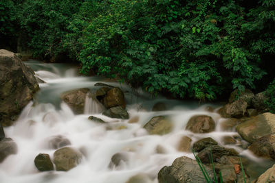 Scenic view of waterfall in forest with long exposure