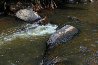 River flowing through rocks in forest