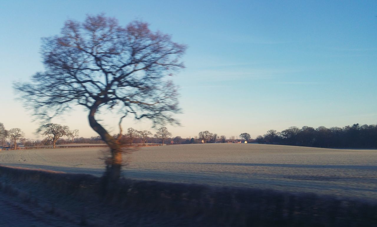 BARE TREE IN WATER AGAINST SKY