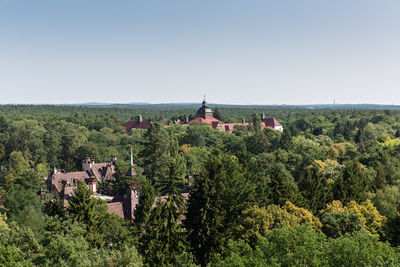 Plants and trees by building against clear sky